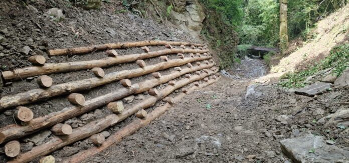 Fosso Serilli dopo l'intervento (Fonte foto Consorzio di Bonifica Medio Valdarno)