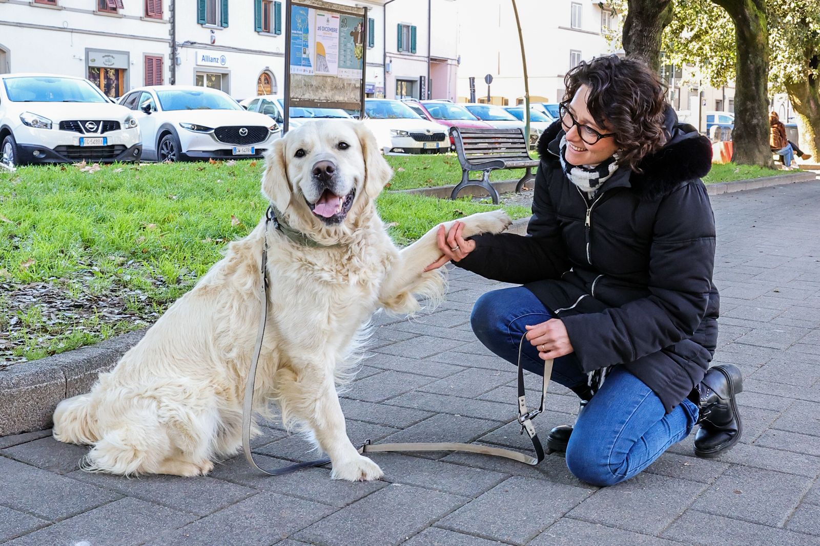 Botti vietati, l'appello per Capodanno: "Scegli il rispetto degli animali"