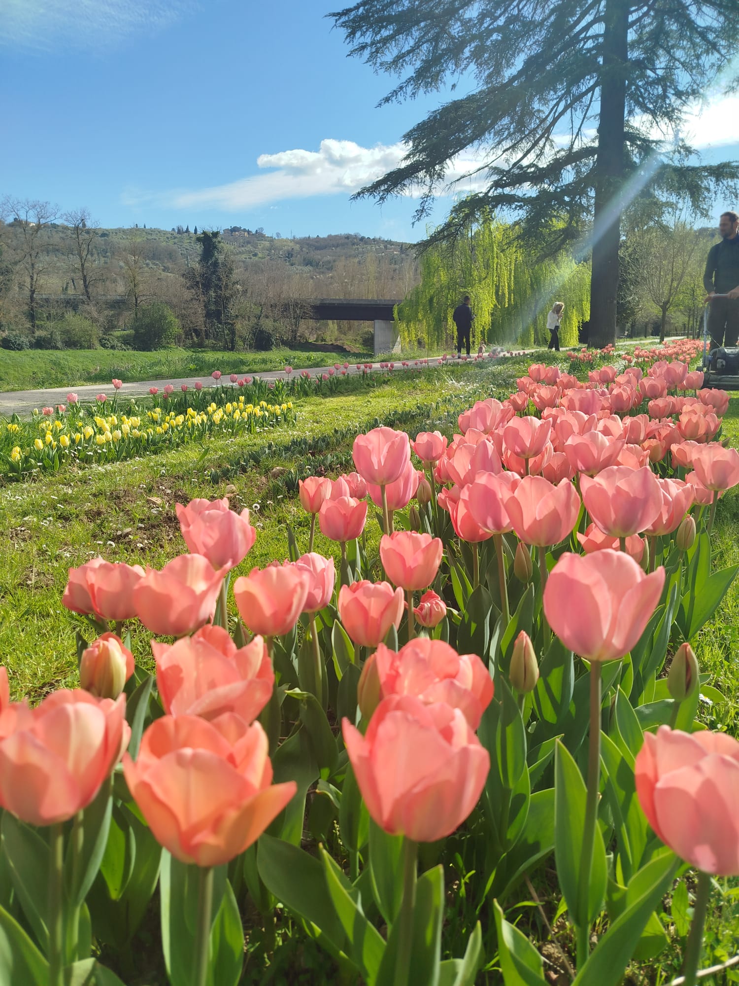 Pontassieve - wander and pick