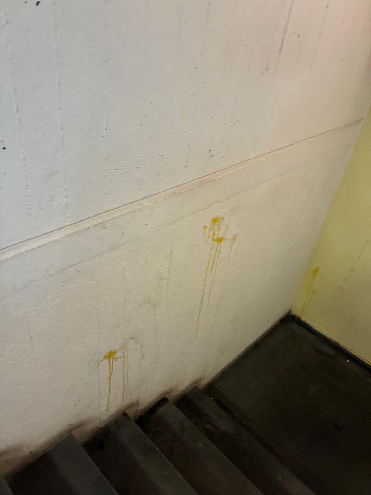 "Rispetto ed educazione per il patrimono pubblico" (Fonte foto Comune di Lastra a Signa)