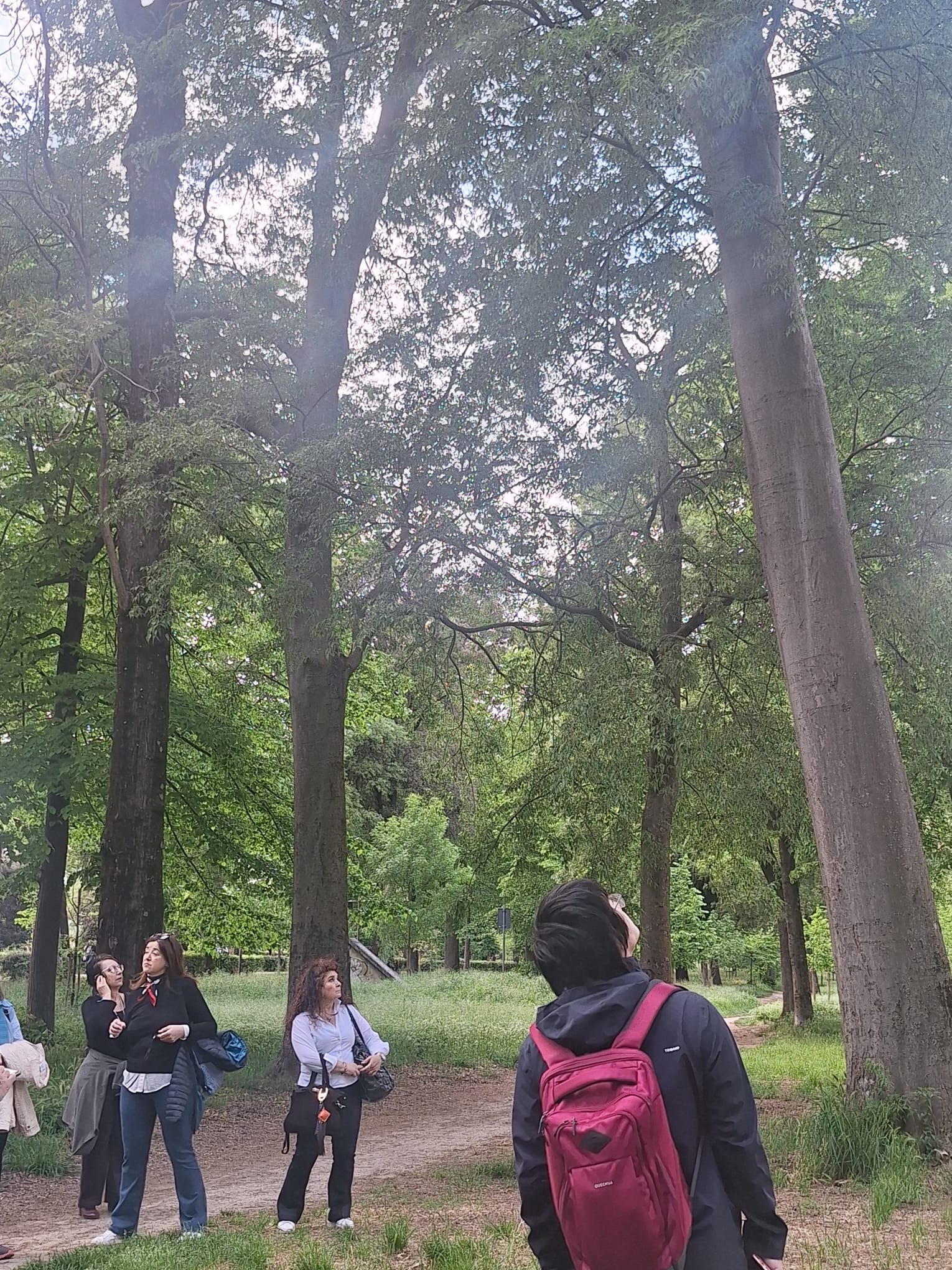 (fonte foto comunicato stampa)