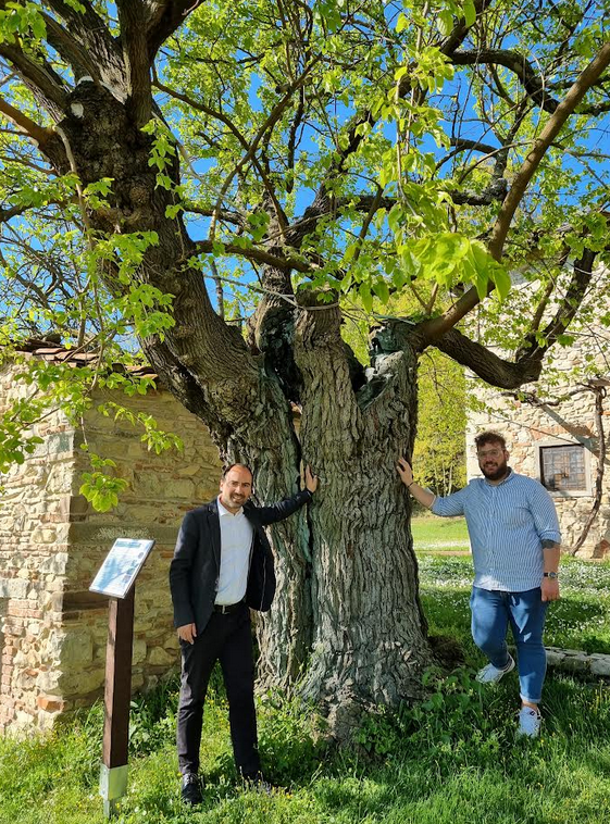 A Montemurlo un seminario dedicato agli alberi monumentali: conservazione, cura e valorizzazione del patrimonio arboreo (Fonte foto Comune di Montemurlo)