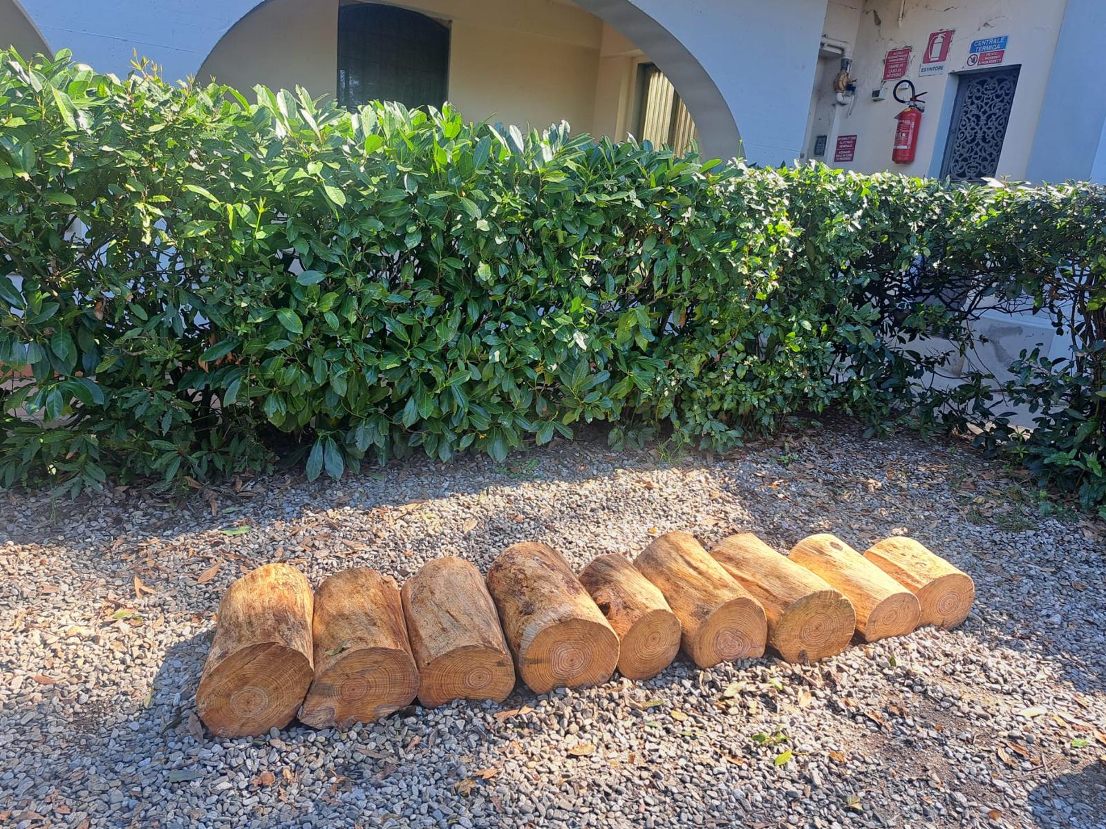 (fonte foto comunicato stampa)