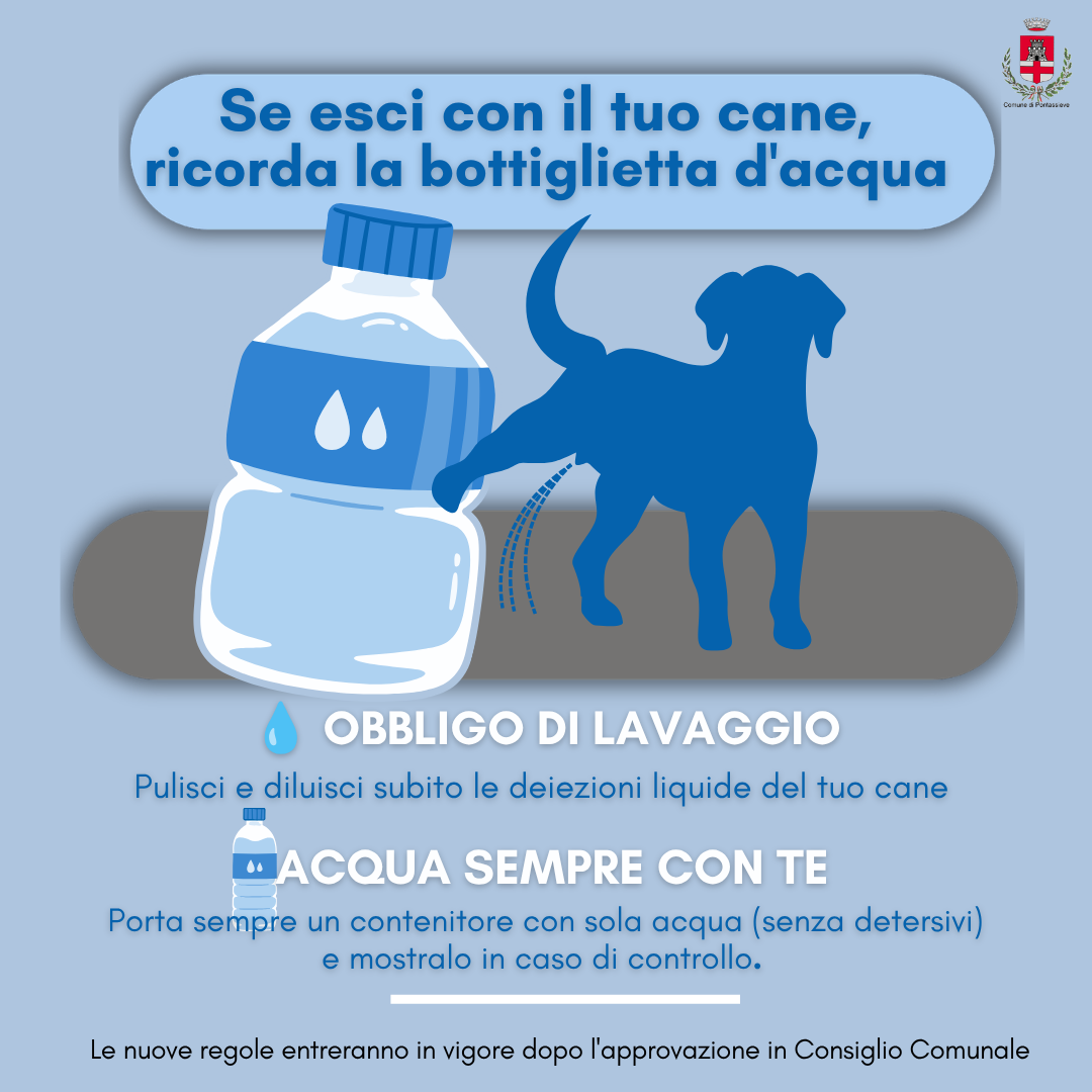 pontassieve cani 
