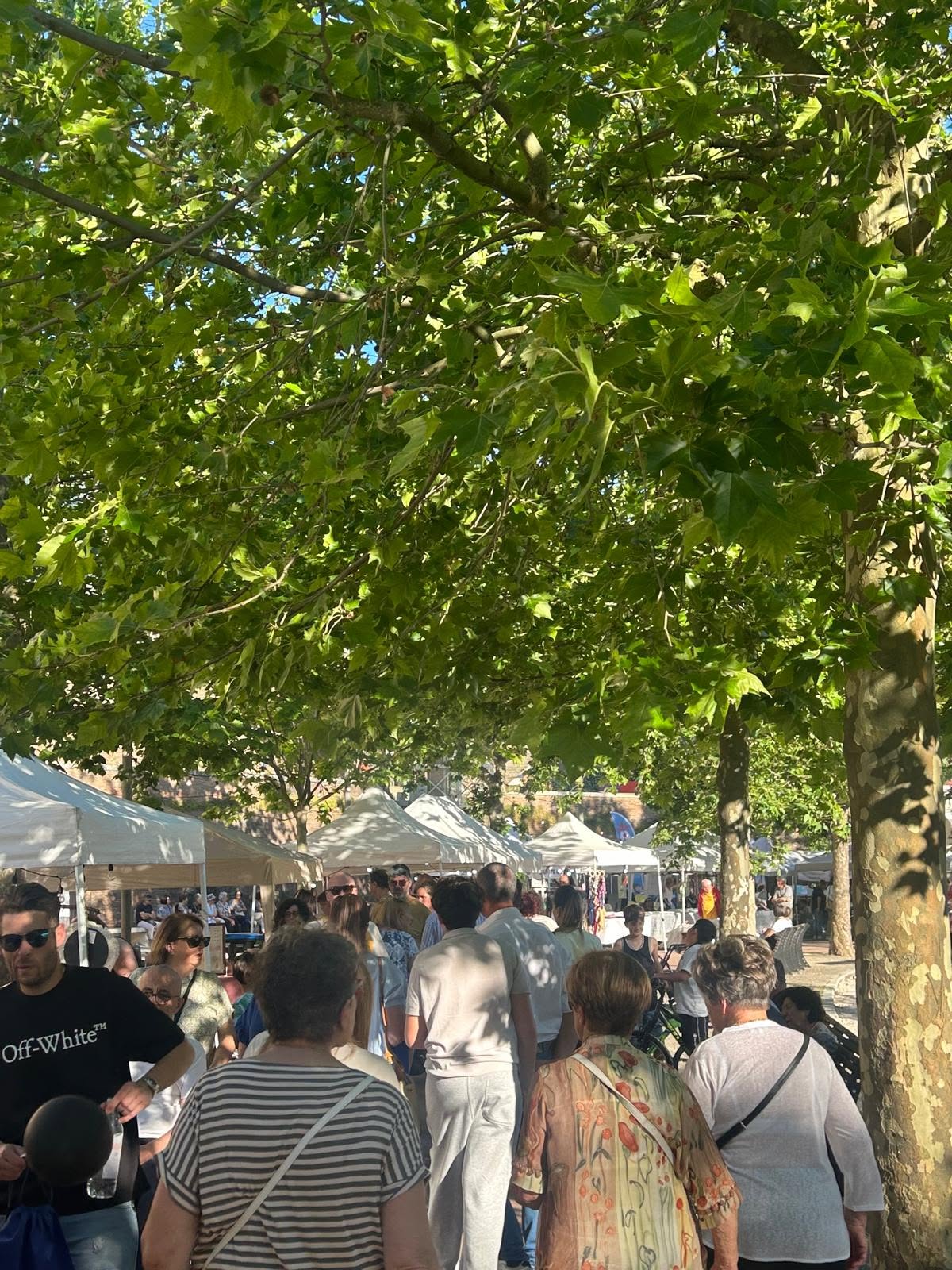 il mercato