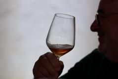 Esperto del settore vitivinicolo (foto archivio Antonello Serino - Met Ufficio Stampa)