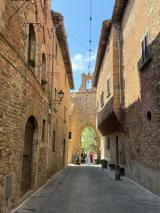 (fonte foto comunicato stampa)