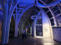 Giornata mondiale del diabete nei bambini (Fonte foto Meyer)