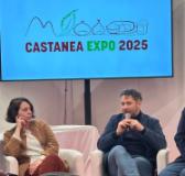 castanea expo