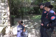 I Carabinieri Forestali della Toscana (fonte foto frame video comunicato)