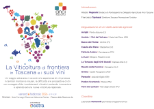 Viticoltura di frontiera: Anci in prima linea per la creazione di una rete di produttori