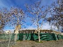 Stadio Franchi (foto Antonello Serino Met Ufficio Stampa)