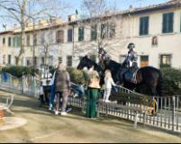 VIGILI A CAVALLO