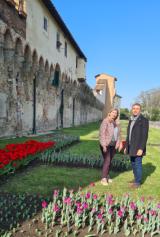 Lastra a Signa. Il 26 marzo sarà inaugurato il parco dei tulipani Wanderandpick (Fonte foto Comune di Lastra a Signa)