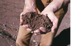 fonte foto regione toscana