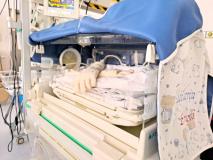 I guanti care in una incubatrice della Neonatologia (Fonte foto Ausl Toscana Centro)