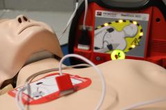Guida sicura, primo soccorso e defibrillatore: giornate di formazione per i dipendenti del Consorzio di Bonifica (Fonte foto comunciato CBMV)