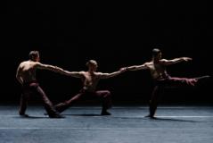CORNELIA_variation +_Ph. karolina kuras 2 (fonte foto comunicato stampa)