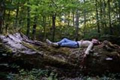 Renato Torre, Armonia e Bellezza (Fonte foto comunicato Parco Nazionale delle Foreste Casentinesi